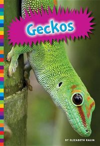 Cover image for Geckos