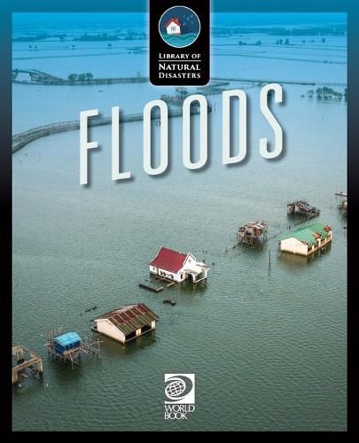 Cover image for Floods