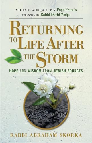 Cover image for Returning to Life After the Storm