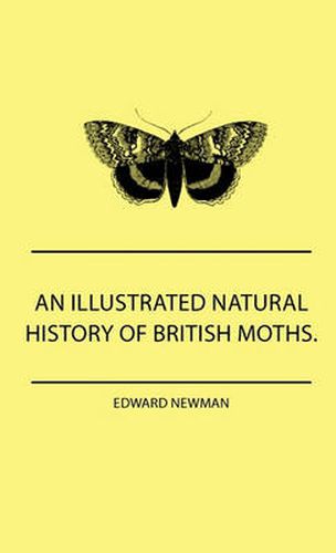 Cover image for An Illustrated Natural History Of British Moths. With Life-Size Figures From Nature Of Each Species, And Of The More Striking Varieties - Also, Full Descriptions Of Both The Perfect Insect And The Caterpillar, Together With Dates Of Appearance, And Locali