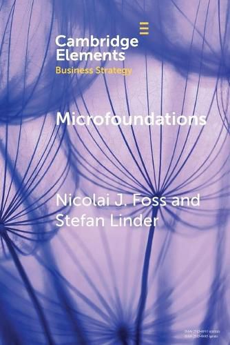 Cover image for Microfoundations: Nature, Debate, and Promise