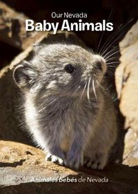 Cover image for Our Nevada: Baby Animals