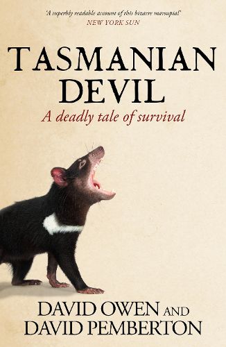 Cover image for Tasmanian Devil