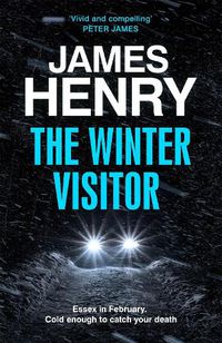 Cover image for The Winter Visitor