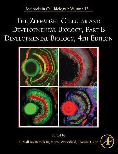 Cover image for The Zebrafish: Cellular and Developmental Biology, Part B Developmental Biology