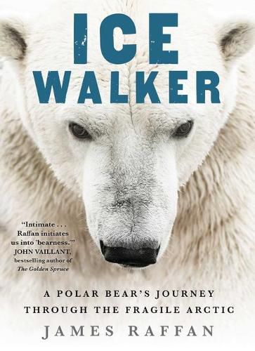 Cover image for Ice Walker: A Polar Bear's Journey Through the Fragile Arctic