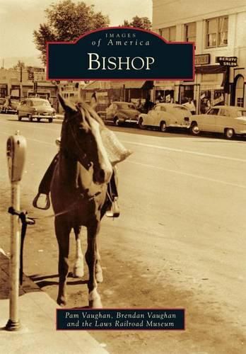 Cover image for Bishop