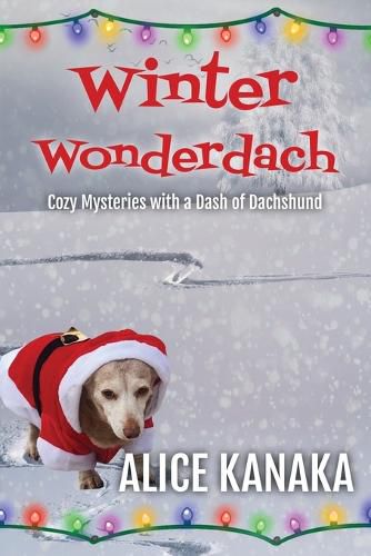 Cover image for Winter Wonderdach