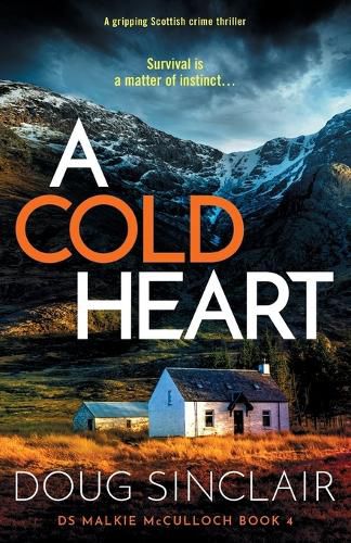 Cover image for A Cold Heart