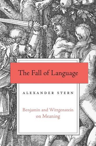 Cover image for The Fall of Language: Benjamin and Wittgenstein on Meaning