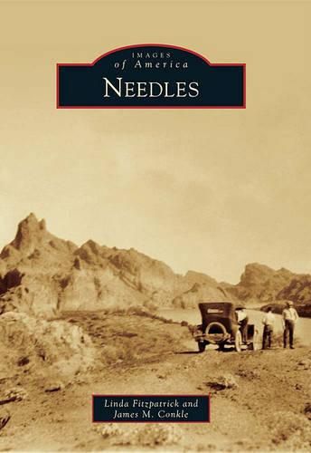 Cover image for Needles