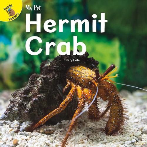 Cover image for Hermit Crab