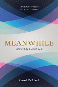 Cover image for Meanwhile: Meeting God in the Wait