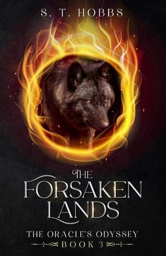 Cover image for The Forsaken Lands