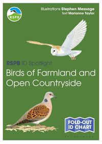 Cover image for RSPB ID Spotlight - Birds of Farmland and Open Countryside