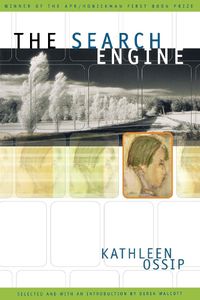 Cover image for The Search Engine