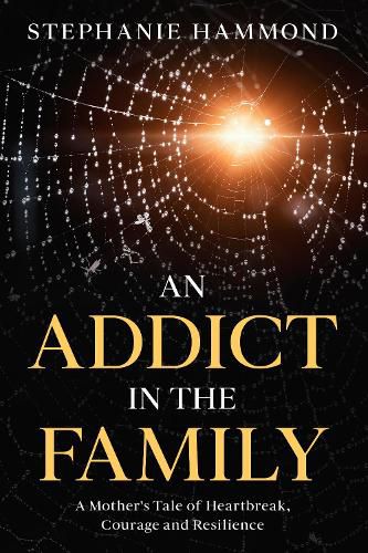 Cover image for An Addict in the Family