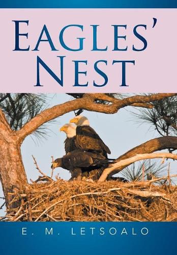 Cover image for Eagles' Nest