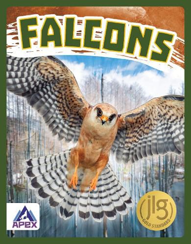 Cover image for Birds of Prey: Falcons