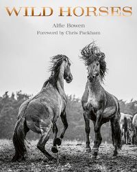 Cover image for Wild Horses