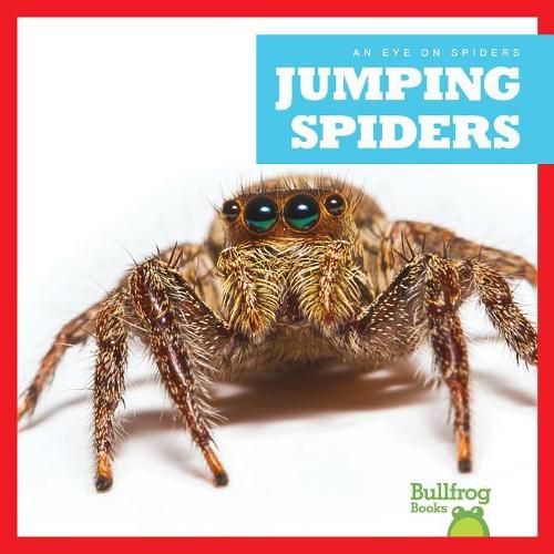 Cover image for Jumping Spiders