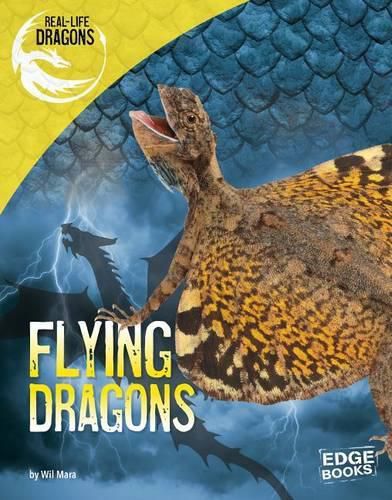 Cover image for Flying Dragons (Real-Life Dragons)