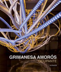 Cover image for Grimanesa Amoros: Ocupante