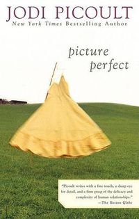 Cover image for Picture Perfect