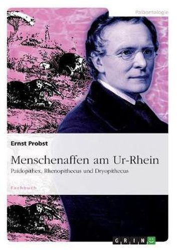 Cover image for Menschenaffen am Ur-Rhein: Paidopithex, Rhenopithecus und Dryopithecus