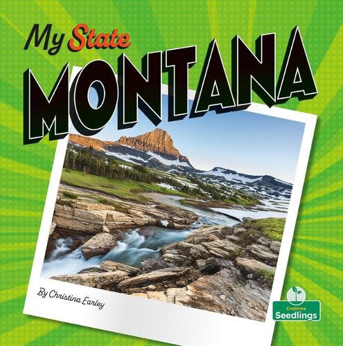 Cover image for Montana