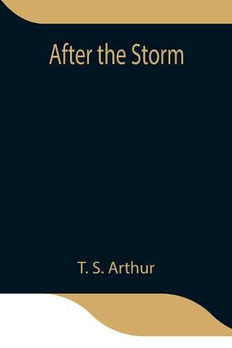 Cover image for After the Storm