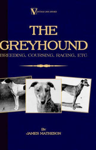 Cover image for The Greyhound: Breeding, Coursing, Racing, Etc. (a Vintage Dog Books Breed Classic)