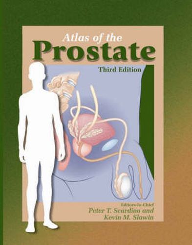 Cover image for Atlas of the Prostate