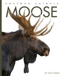 Cover image for Moose