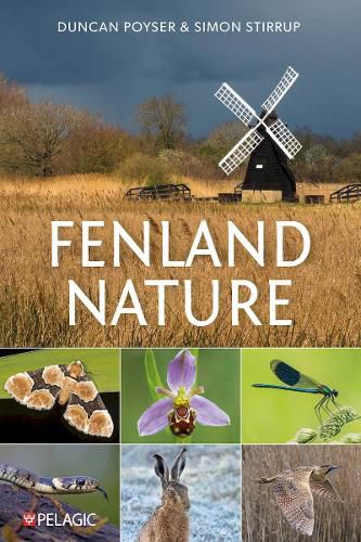 Cover image for Fenland Nature