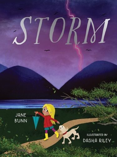 Cover image for Storm