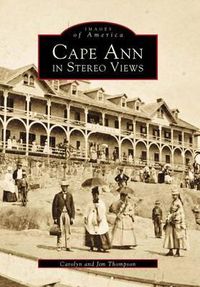 Cover image for Cape Ann in Stereoviews