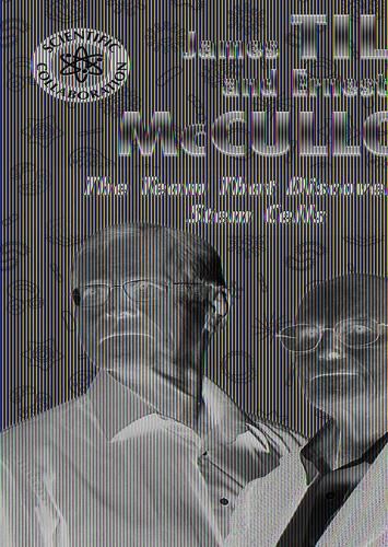 Cover image for James Till and Ernest McCulloch: The Team That Discovered Stem Cells