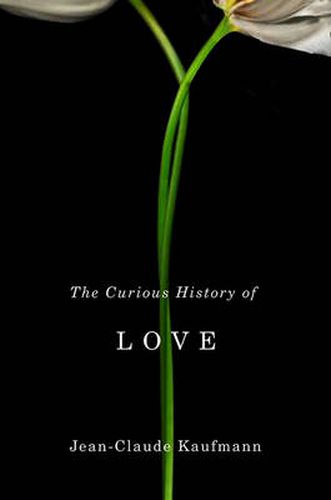 Cover image for The Curious History of Love