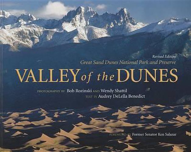 Cover image for Valley of the Dunes