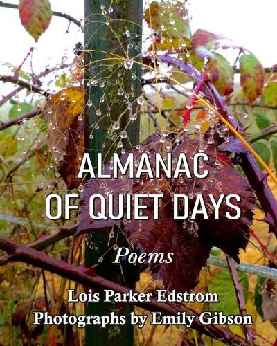 Cover image for Almanac of Quiet Days