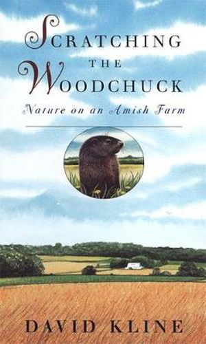 Cover image for Scratching the Woodchuck: Nature on an Amish Farm