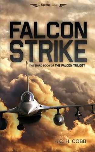 Cover image for Falcon Strike