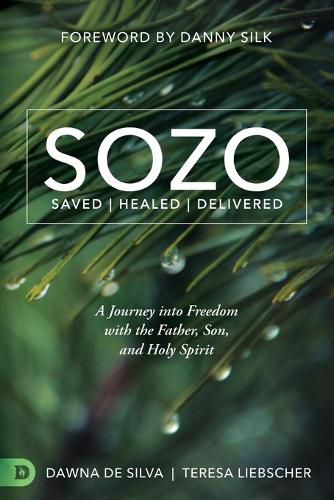 Cover image for Sozo: Saved, Healed, Delivered : a Journey into Freedom with the Father, Son, and Holy Spirit