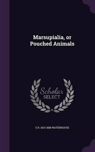 Cover image for Marsupialia, or Pouched Animals