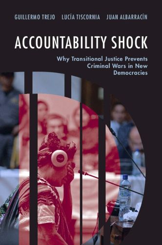 Cover image for Accountability Shock