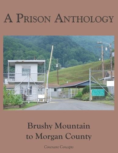 Cover image for A Prison Anthology