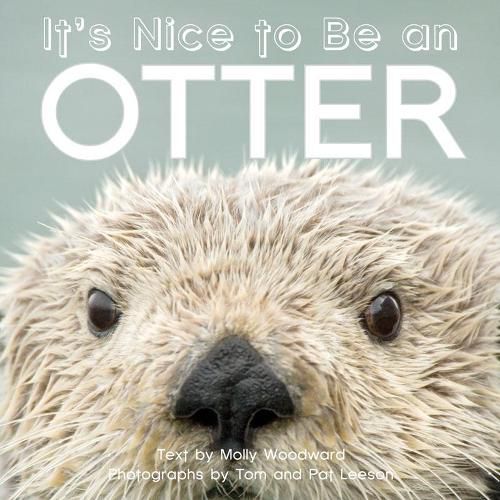 Cover image for It's Nice to Be an Otter