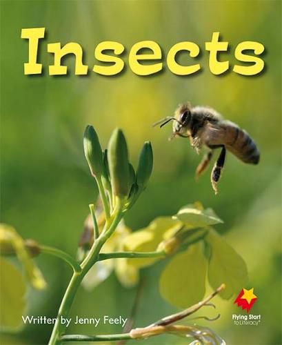 Cover image for Insects