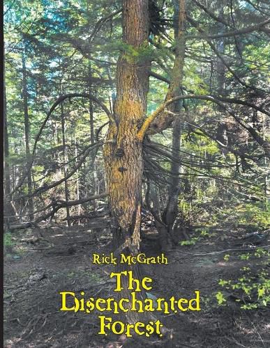 Cover image for The Disenchanted Forest